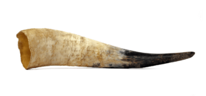 V srednjem veku so živalske rogove spremenili v otroške stekleničke in z njimi nahranili dojenčke. 